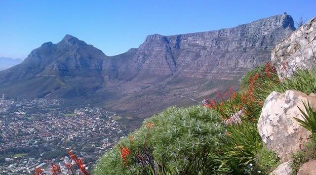 Hike Table Mountain & Lion's Head